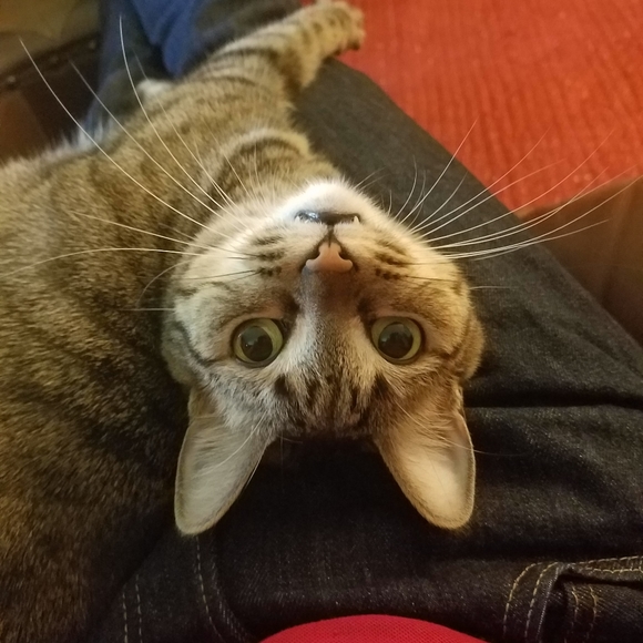 Meet your Posher, Mark - Picture 5 of 5